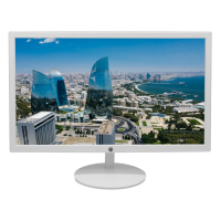 Monitor LED 15.4 " Brazilpc Widescreen Vga HDMI Vesa Branco