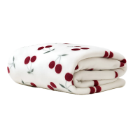 Cobertor Manta Flannel King/Queen 2,20x2,40